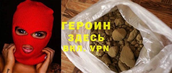твердый Гусев