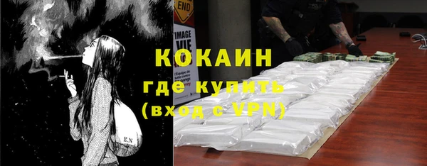 твердый Гусев
