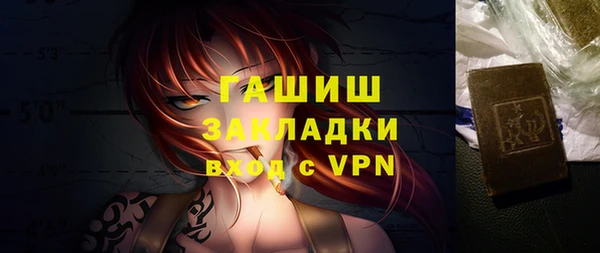 твердый Гусев