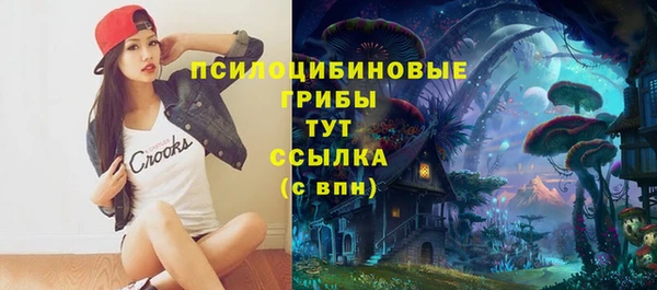 mix Горнозаводск