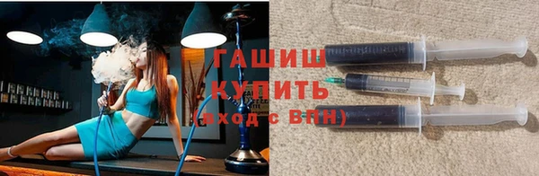 твердый Гусев